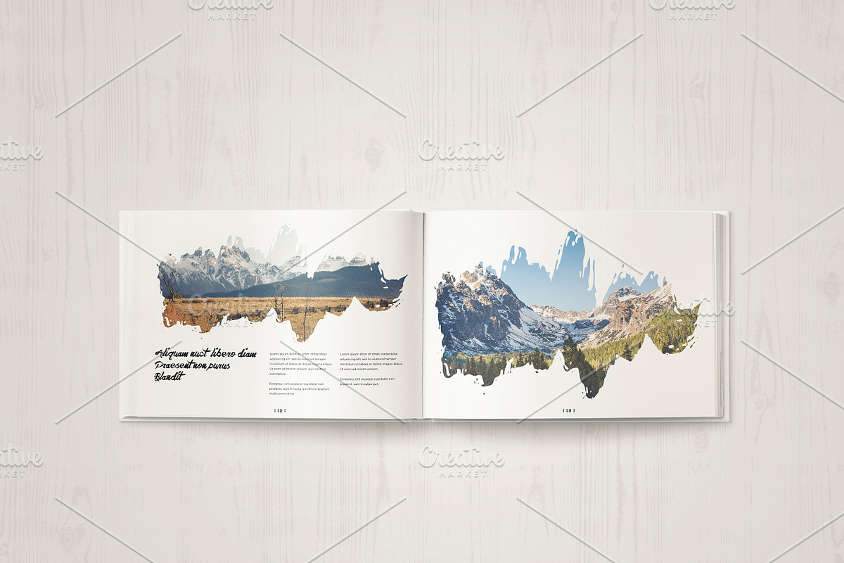Multipurpose Portfolio Brochure, a Brochure Template by ShapShapy (Photo 9 of 17)