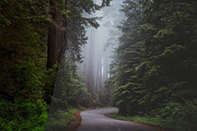 Moody Lightroom Presets - Soft Light, an Action Add-On by PhotoMarket (Thumbnail 14 of 33)