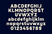 Megazine Poster Bold Vintage Display, a Sans Serif Font by Lettertype Studio (Thumbnail 11 of 12)