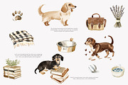 dachshund clipart cozy dog png, a Decorative Illustration by Patishop Art (Thumbnail 3 of 10)