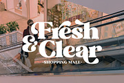 Mountain Daisy - Stylish Serif, a Serif Font by Myn Type (Thumbnail 5 of 11)