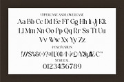 Biors || Modern Serif Font, a Script Font by Idea Studio (Thumbnail 8 of 10)