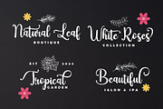 The Family Calligraphy Script, a Script Font by Madjack.font (Thumbnail 5 of 8)