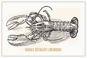 Hand Drawn Sea Critters Set, an Animal Illustration by Well Rock Designs (Thumbnail 4 of 8)