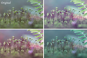 Nature Photoshop Actions preview 5