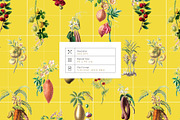 Herbarium Collection prints & more!, a Pattern Graphic by Pink Linen (Thumbnail 4 of 15)