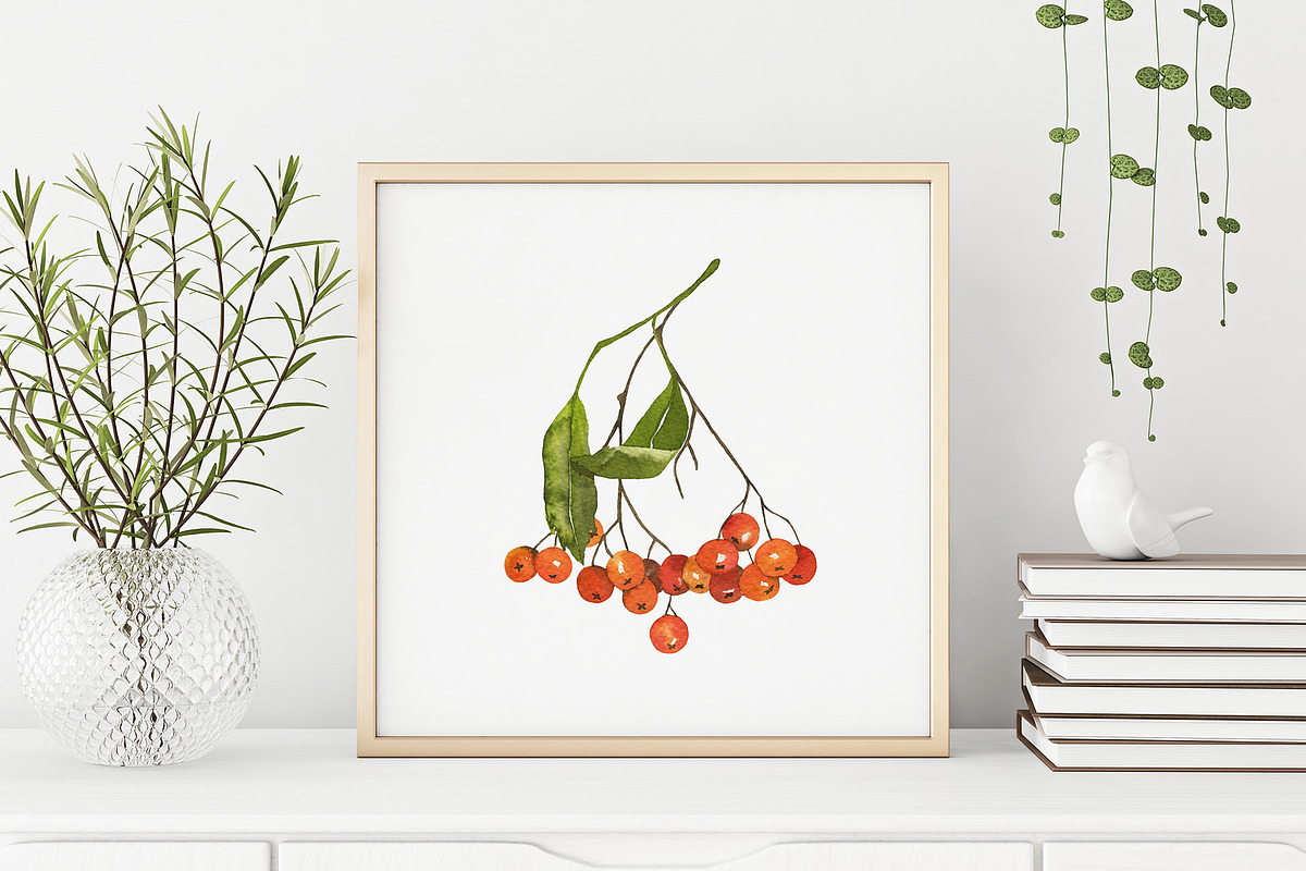 Rowan. Watercolor collection, a Decorative Illustration by Maria's little shop (Photo 6 of 8)