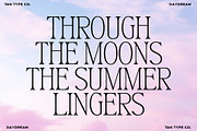 TAN-MIDSUMMER- DUO FONT, a Serif Font by TanType (Thumbnail 9 of 10)