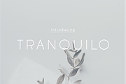Tranquilo | Sans Serif Font, a Sans Serif Font by Vanem Studio (Thumbnail 1 of 10)