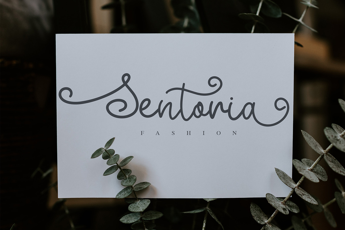 Smotie Butter - Monoline Script, a Script Font by NTC Graphic (Photo 3 of 9)
