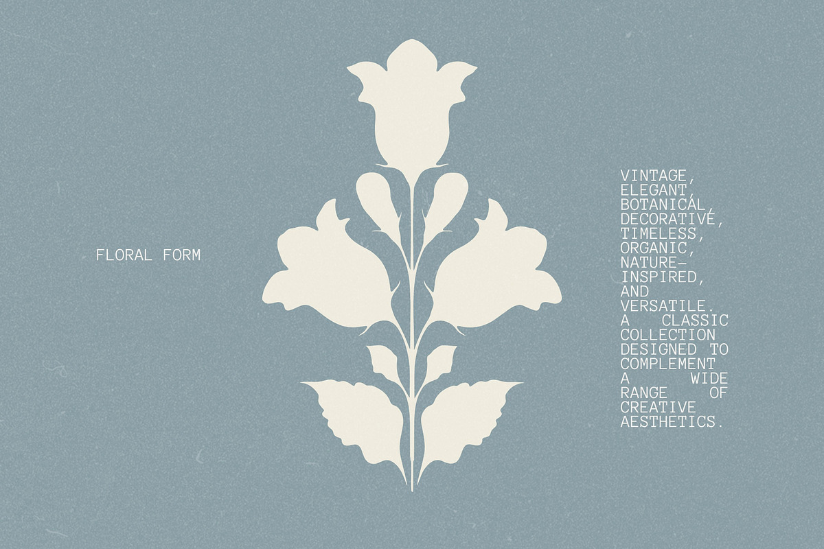Vintage Botanical: 100 Illustrations, an Object Illustration by Veyla (Photo 13 of 15)