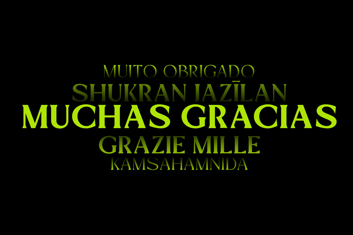 Mizhon | 36 Fonts, a Serif Font by Skinny Type (Photo 15 of 15)