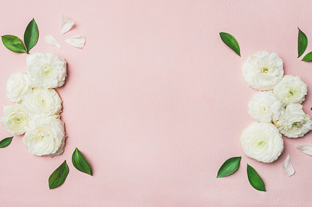 Floral background composition, a Nature Photo by Foxys