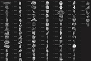 BUNDLE 2 - Tattoo Flash - Stamp Sets, a Brush Add-On by LA Studio Sthlm (Thumbnail 12 of 17)