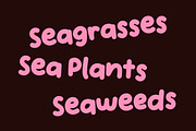 HANDPICKED SEASHELLS | Bouncy Font, a Handwritten Font by type peace (Thumbnail 11 of 11)