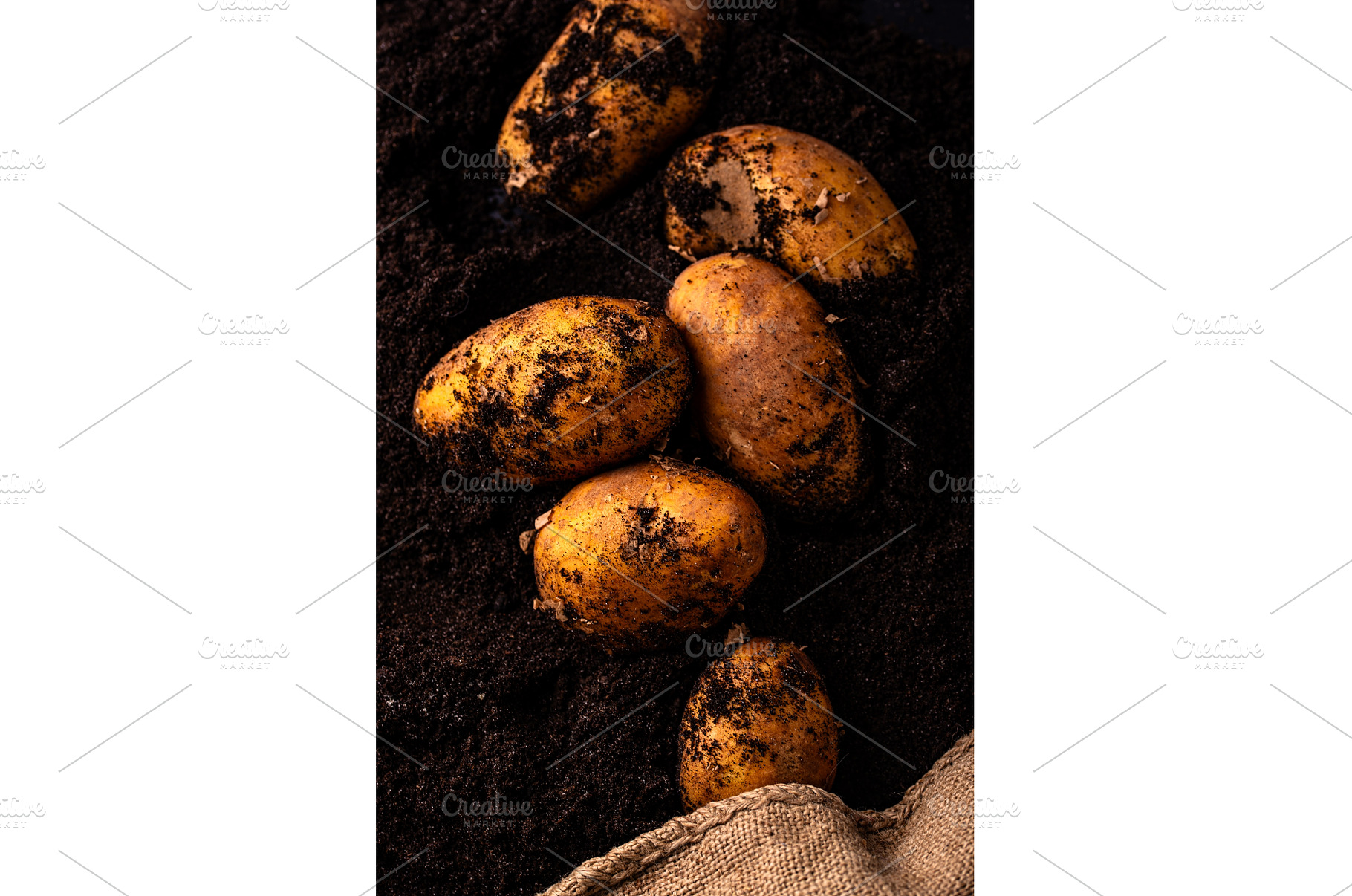 Raw young potato in the ground, a Food & Drink Photo by Yulia Furman