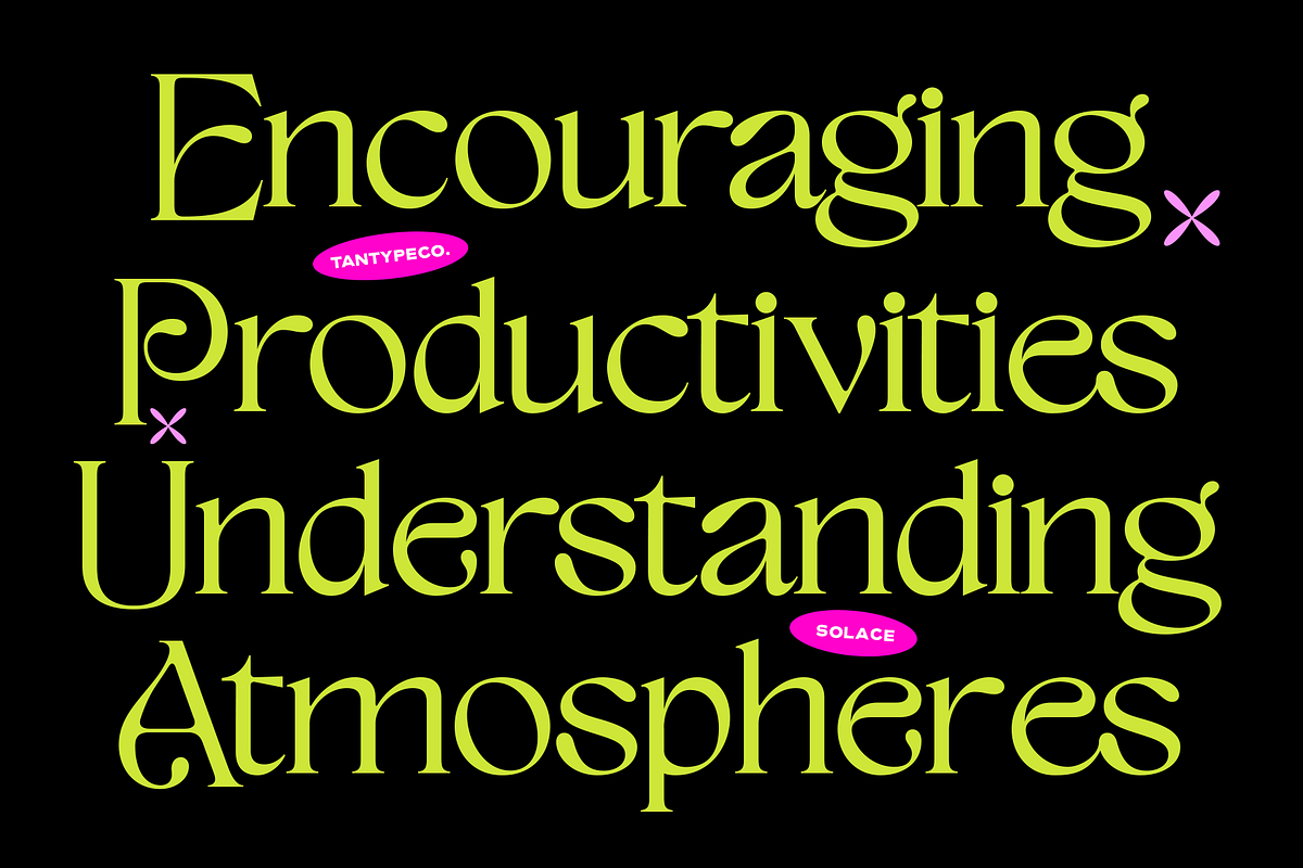 TAN - SOLACE - CLASSIC DISPLAY FONT, a Serif Font by TanType (Photo 4 of 10)