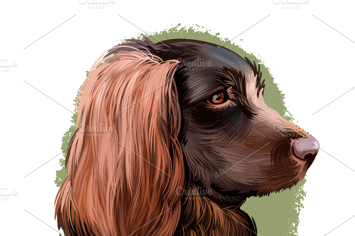 Dogs Pet Portraits Art Print Set 23, an Animal Illustration by Dneprstock (Photo 3 of 5)