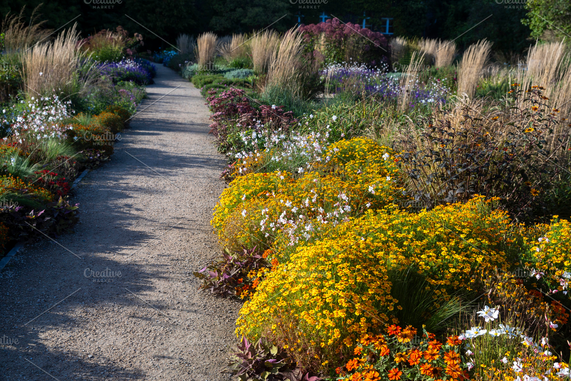 Gravel path winding through a botanical garden lined with colorf, a Nature Photo by Imaginarium