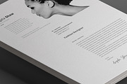 Orion Resume Template, a Resume Template by Nina Shaw (Thumbnail 8 of 11)