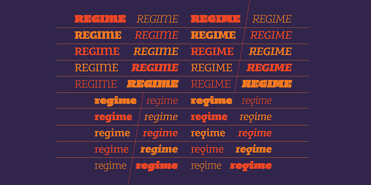 Regime, a Slab Serif Font by Barnbrook Fonts (Photo 2 of 7)