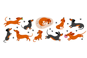 Cute dachshund. Funny long dog, an Animal Illustration by YummyBuum