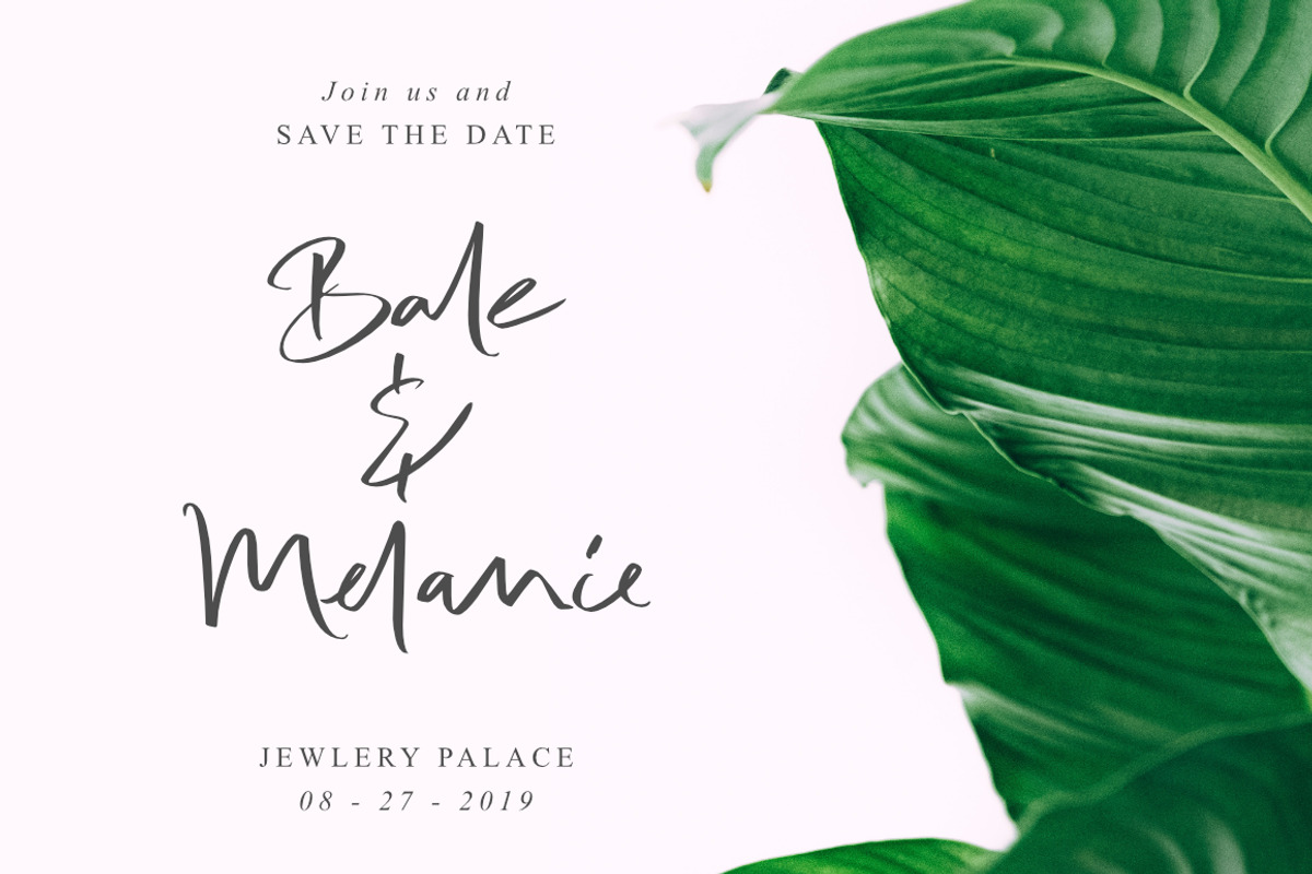 Bale & Melanie // 15% OFF preview 4