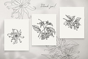 Flowers Ylang Ylang. Botanical set, an Object Graphic by ON_lineart_store (Thumbnail 8 of 8)