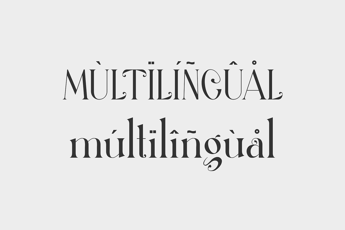 Thefang ligature serif typeface, a Serif Font by yaqublekker (Photo 6 of 7)