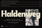 Haldenweg - Bold Retro Sans, a Sans Serif Font by Graphicfresh (Thumbnail 1 of 8)