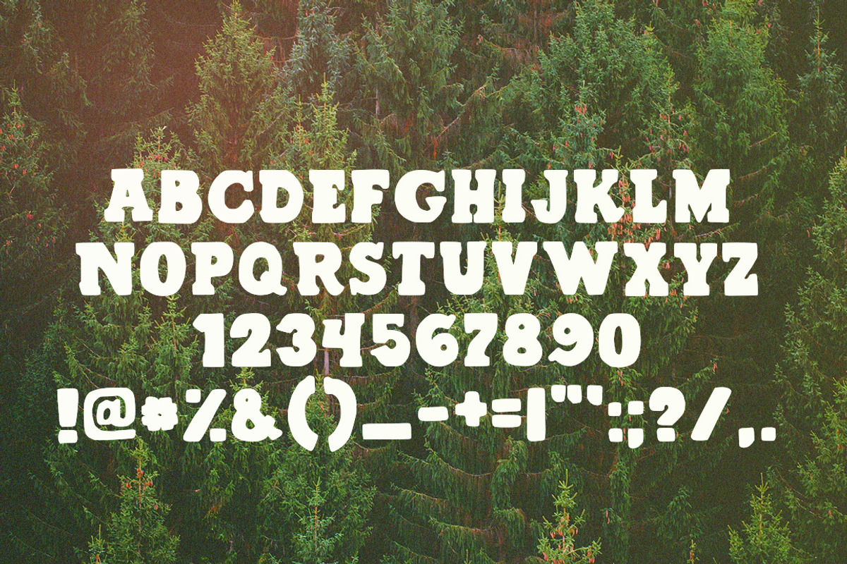 Pine Crest Rustic Serif Font preview 4