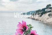 Tiramisu | Handwritten Font, a Sans Serif Font by Faber Co. (Thumbnail 4 of 6)