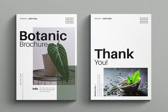 Botanic Multipurpose Portfolio preview 8