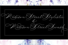 Madison Street Stylistic & Swash