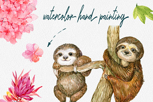 Sloth. Watercolor Clipart.