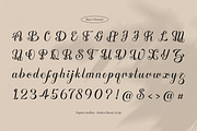 Naptira Anellian | Beauty Script, a Script Font by gracetype_studio (Thumbnail 15 of 15)