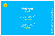 Le Sardino - Font for display & text, a Sans Serif Font by Suolahti Type (Thumbnail 6 of 7)