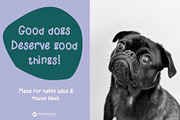 Pickles - Handwritten Display Font, a Handwritten Font by Youandigraphics (Thumbnail 2 of 10)