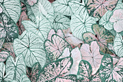 Tropic | Tropical Green Photo Bundle, a Nature Photo by MDSN Design (Thumbnail 12 of 16)