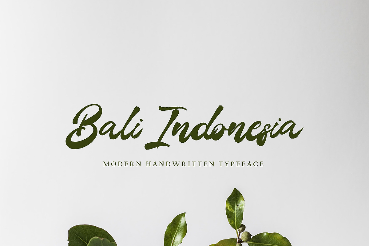 Skaner Bold, a Script Font by pineungtype (Photo 3 of 6)