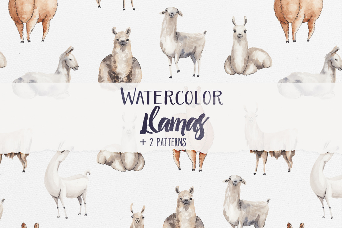 Watercolor Llamas + 2 Patterns, an Animal Illustration by Petite Salade (Photo 1 of 4)