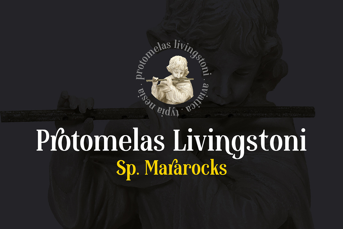 Aviatica Classic Serif, a Serif Font by Typia Nesia (Photo 6 of 9)