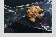 Iridescent Cellophane Photo Overlays, a Texture Graphic by PhotoSpirit (Thumbnail 3 of 9)