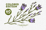 Wild & Medical Herbs, a Food Illustration by Chelovector (Thumbnail 2 of 5)