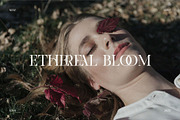 Rikatin – Stylish Display Serif Font, a Serif Font by BrandSemut (Thumbnail 3 of 8)