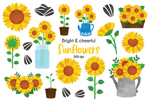 Sunflower Clipart