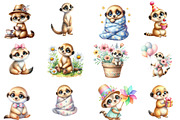 Cute Meerkat Sublimation Clipart, an Illustration by Designworld (Thumbnail 3 of 5)