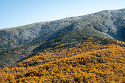 Autumn Landscape Photo Bundle Japan, a Nature Photo by Silent Nature (Thumbnail 3 of 6)