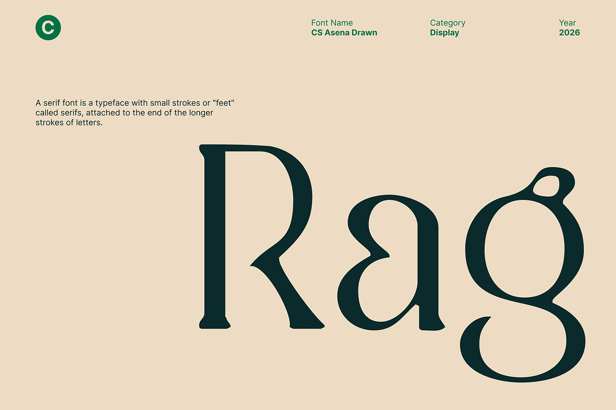 CS Asena Drawn, a Serif Font by Craft Supply Co. (Photo 5 of 8)