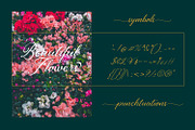Luxuriougenics, a Script Font by Pollux of Geminorum (Thumbnail 6 of 12)